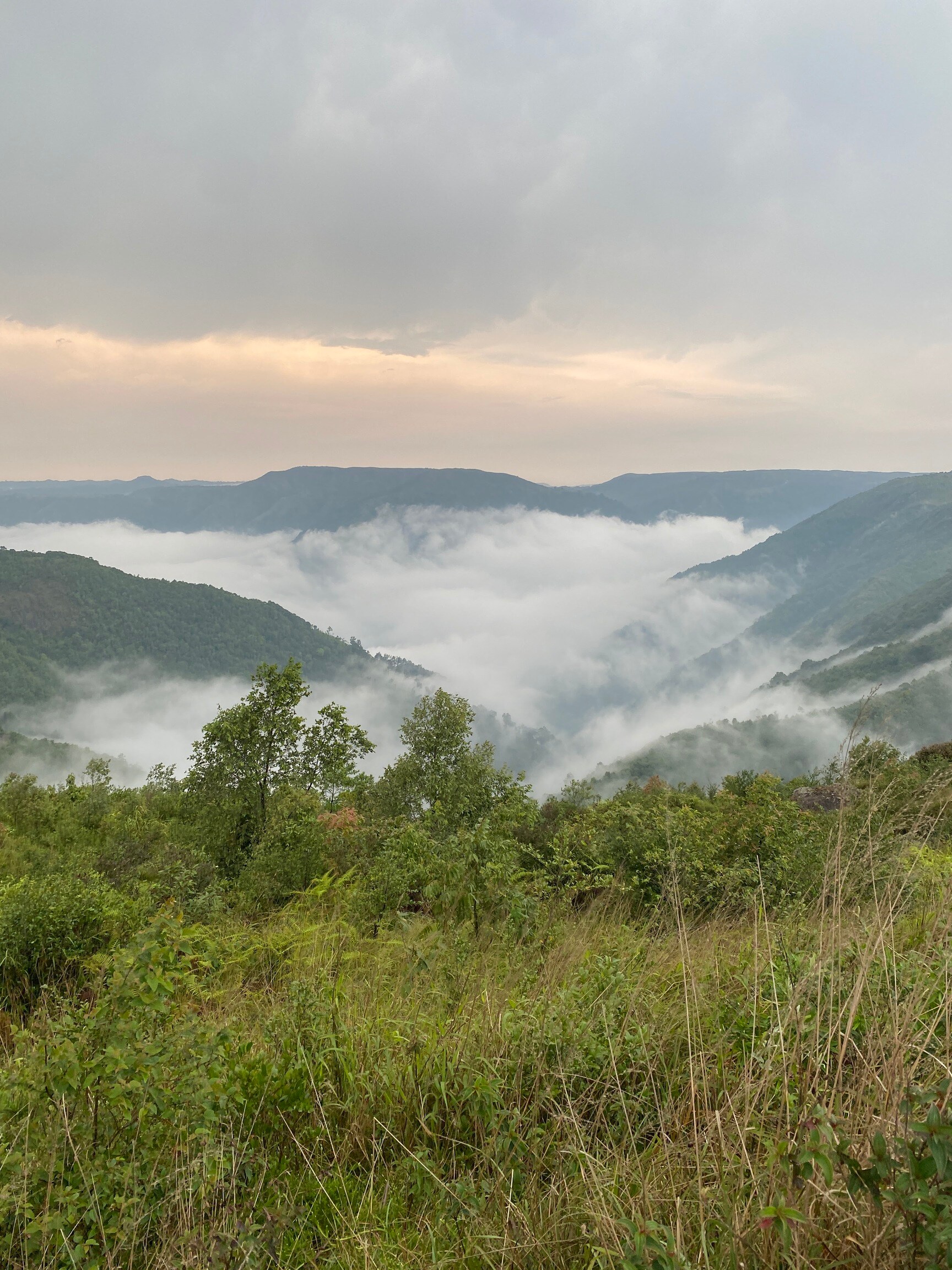 Taruna Travels Gallery